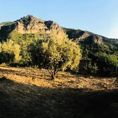 Labellacasona